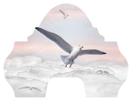 DARAY-L-101-PK Journey Home Clouds Birds Pink